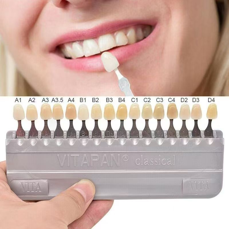 VITA 16 Colors Teeth Shade Gui - Whitening Teeth Dentist avaliação e preço