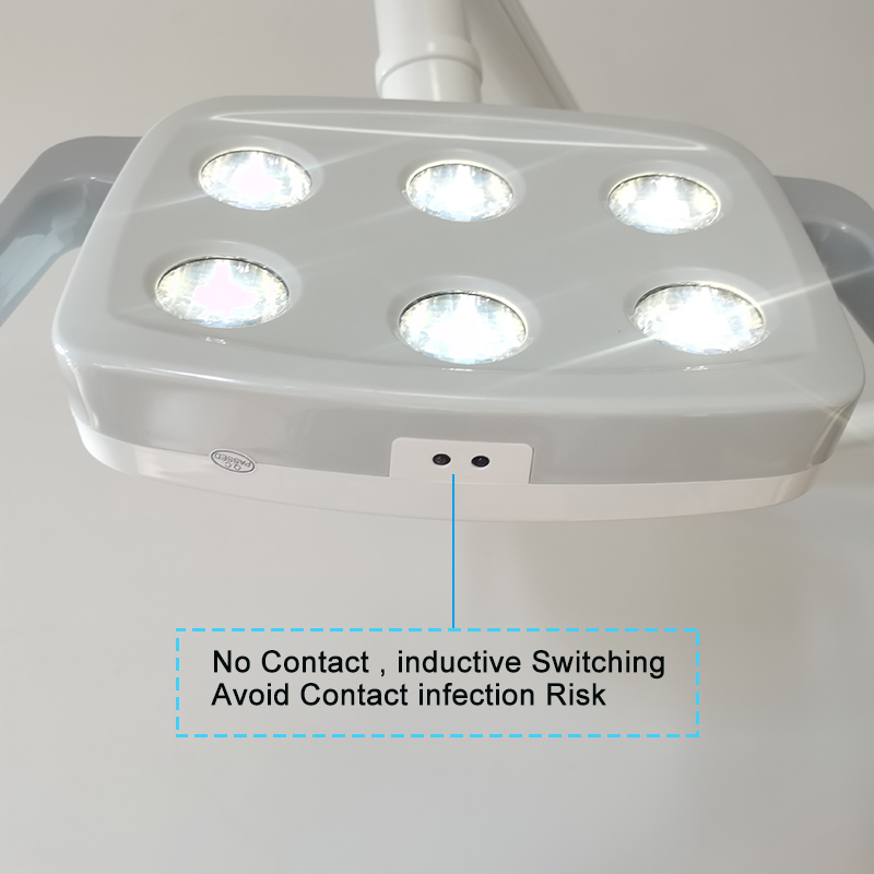 6LED Dental LED Lamp Oral Ligh - Whitening Teeth Dentist avaliação e preço